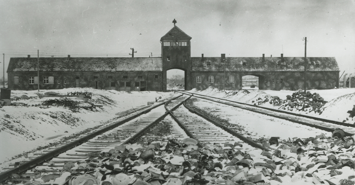 Webinar: “Holokausti eitamine ja moonutamine Auschwitzi vabastamise 80. aastapäeva ajal”